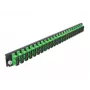 Patch panel DeLOCK 43364 SC 1U 19 inch žalias