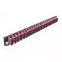 Priekinis skydelis Splice Box DeLOCK 19 colių 24 prievadų SC Duplex violetinis