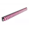 Priekinis skydelis DeLOCK 19 colių 24 prievadų LC Quad violetinis