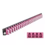 Priekinis skydelis DeLOCK 19 colių 24 prievadų LC Quad violetinis
