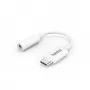 Hama 00201524 garso laidas USB C 3,5 mm baltas