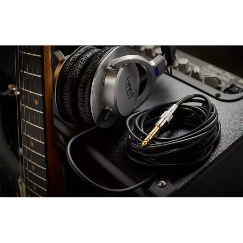 Ausinės Roland RH-200S laidinės muzikinės juodos sidabrinės 20-20000 Hz