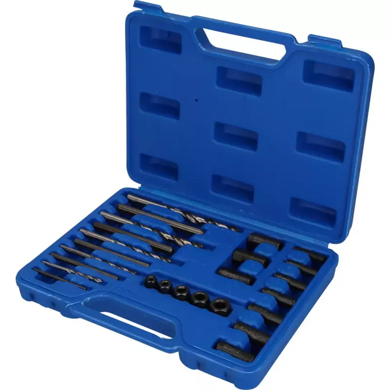 Automobilių remonto įrankių rinkinys Brilliant Tools BT541900 720 g