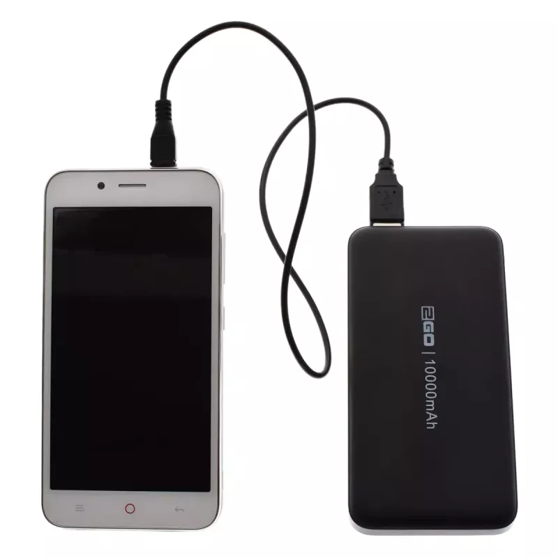 Power Bank 2GO 795944, 10000 mAh