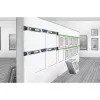 Lazerinis nivelyras Laserliner DigiLevel Laser G80, 80 cm, skaitmeninis, su žaliu lazeriu