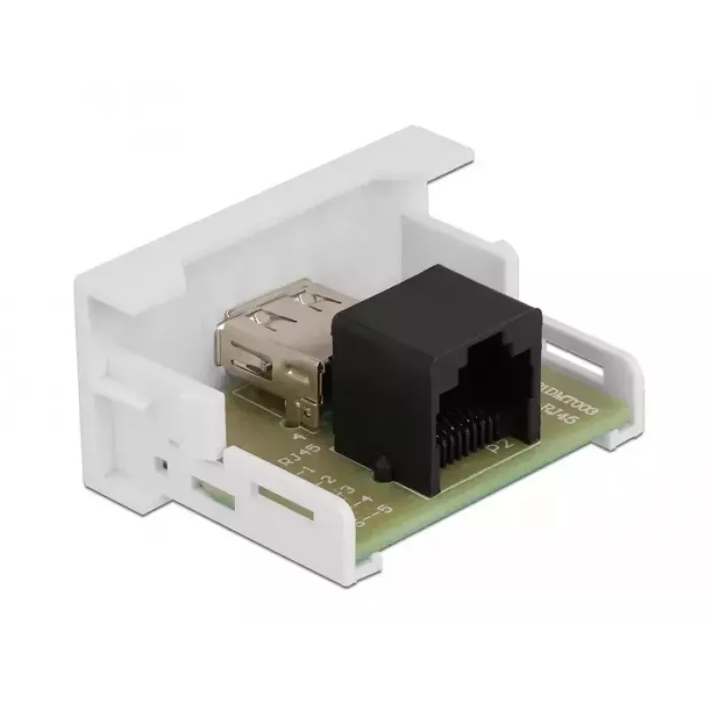 DeLOCK Easy 45 modulis USB 2.0 Type-A lizdas į RJ45 lizdą 81344