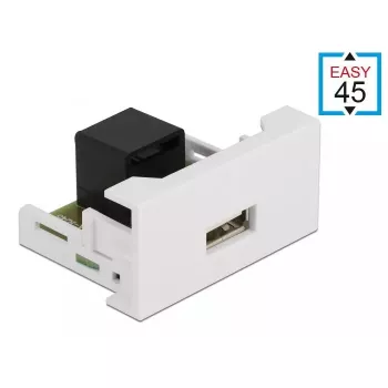 DeLOCK Easy 45 modulis USB 2.0 Type-A lizdas į RJ45 lizdą 81344