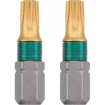 Antgalis KWB 124215 2 vnt Torx T15 25 mm šešiakampis