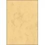 Dekoratyvinis popierius Sigel DP262 100 lapų smėlio spalvos 90 g/m²