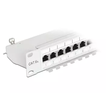DeLOCK 43319 skirstomasis pultas 1U 24 prievadų Cat6a