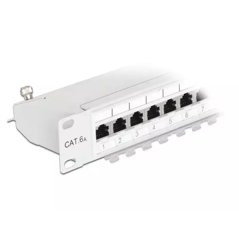 DeLOCK 43319 skirstomasis pultas 1U 24 prievadų Cat6a