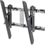 TV laikiklis SpeaKa Professional SP-3957092 160 cm (63 col.) Juodas