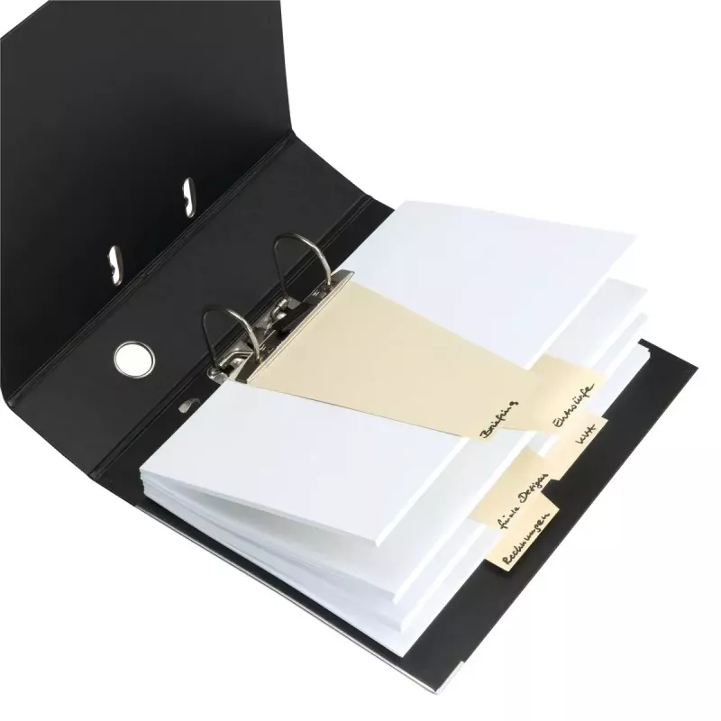 Skirstytuvai Herlitz 10838225 Kartoniniai Žali 100 vnt