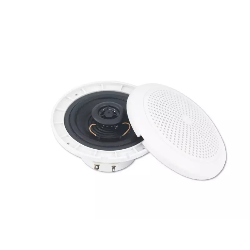2 krypčių garsiakalbis Omnitronic 80710863