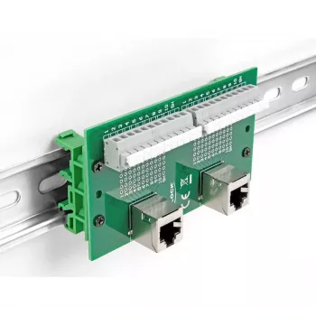 DeLOCK RJ50 2× lizdas į 2× gnybtų bloką su mygtuku DIN bėgiui, kampuotas