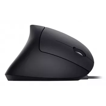 Equip 245118 vertikali ergonominė pelė dešinei rankai, USB-A, optinė, 3200 DPI