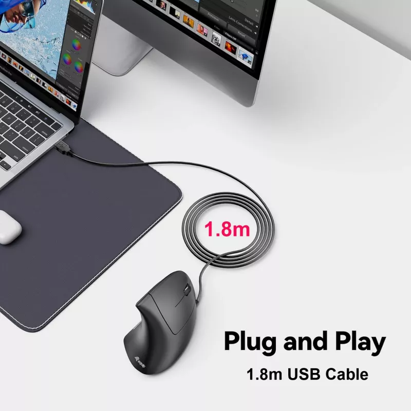 Equip 245118 vertikali ergonominė pelė dešinei rankai, USB-A, optinė, 3200 DPI