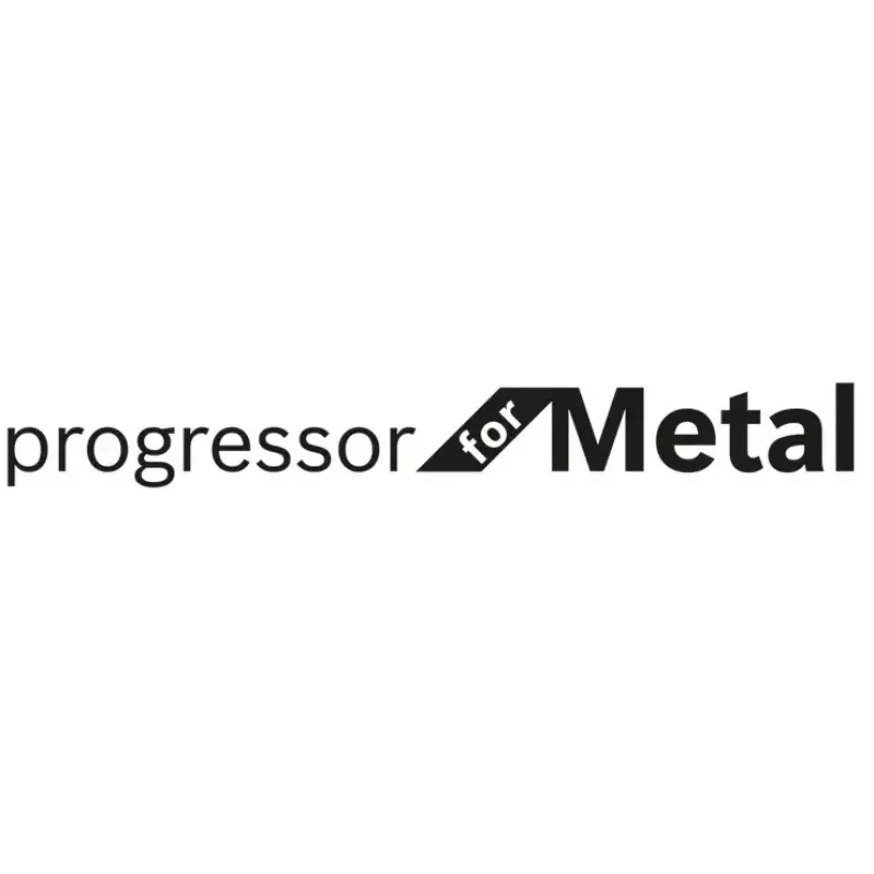 Bosch S 123 XF Progressor pjūklo geležtė metalui