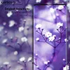 Apsauginis stiklas Kapsolo iPhone 13 / iPhone 14 Max – lenktas 9H, tinka iki 15,5 cm (6,1 colio)
