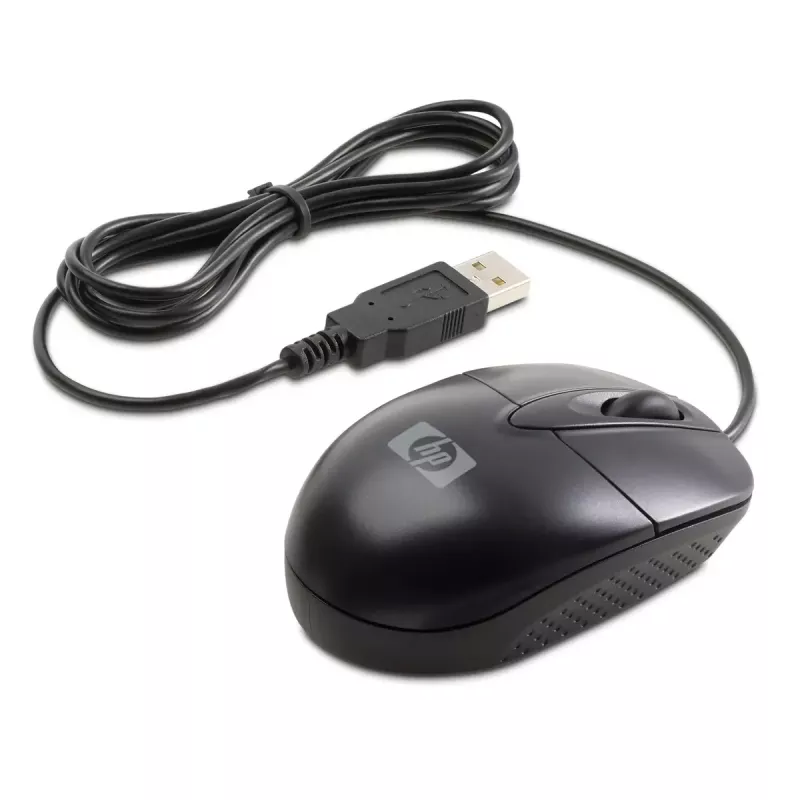 HP RH304AA pelė Office ambidekstrinė USB-A optinė