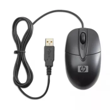 HP RH304AA pelė Office ambidekstrinė USB-A optinė