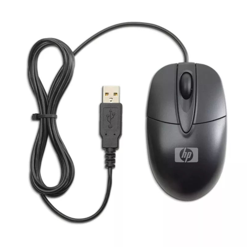 HP RH304AA pelė Office ambidekstrinė USB-A optinė