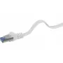Tinklo kabelis Renkforce RF-4149843 3 m Cat6a U/FTP