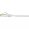 Tinklo kabelis Renkforce RF-4149873 10m Cat6a S/FTP