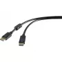 DisplayPort kabelis Renkforce RF-4212204 3 m juodas