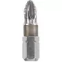 Antgalis atsuktuvui KWB Inox 125102 PH2 25 mm