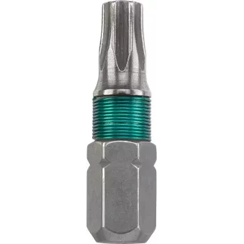 Antgalis varžtams KWB Inox T25 25 mm 1 vnt