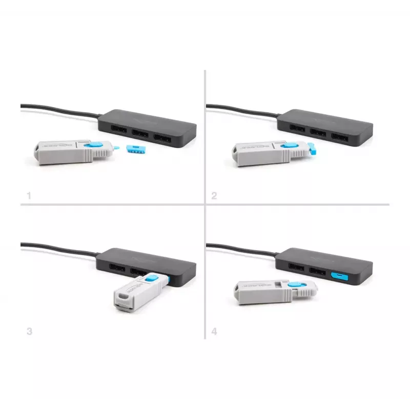 DeLOCK 20951 10 prievadų blokatorius DisplayPort moteriškas mėlynas