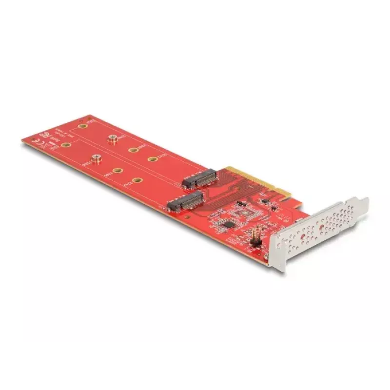 DeLOCK PCI Express x8 kortelė 2 x vidiniai NVMe M.2 Key M 110 mm Bifurkacija Low Profile