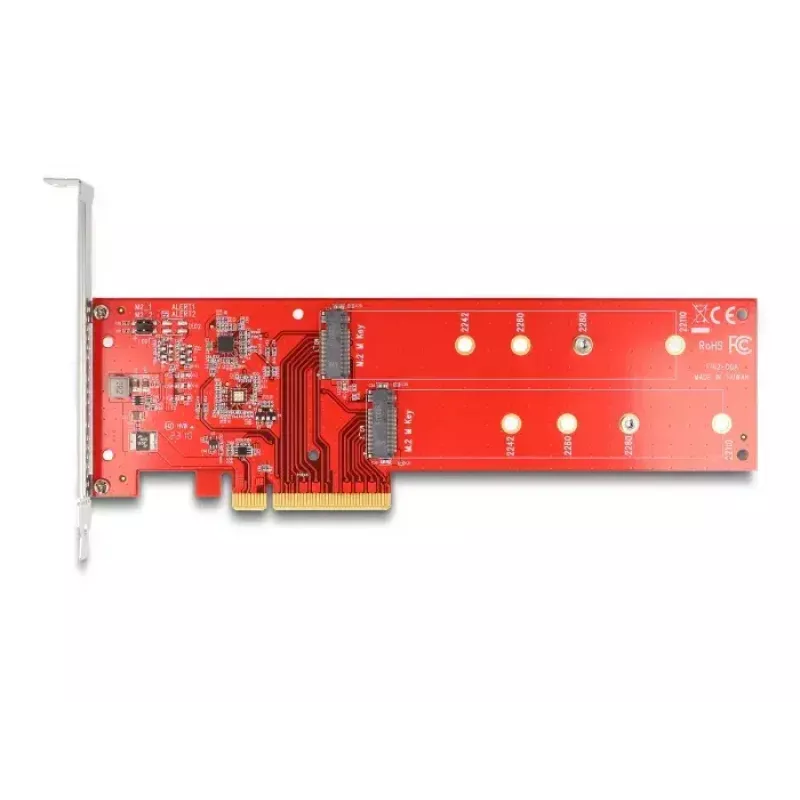 DeLOCK PCI Express x8 kortelė 2 x vidiniai NVMe M.2 Key M 110 mm Bifurkacija Low Profile
