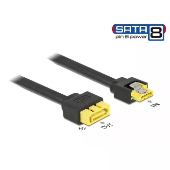 SATA kabelis DeLOCK 0,3 m SATA/SATA 8p