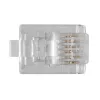 Moduliniai jungtys Intronics RJ-12 M TD106M ACT Apvalus laidas Kietas Maišelyje 25vnt