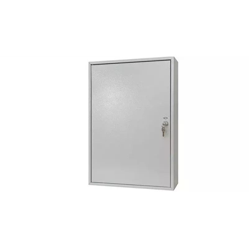 Raktų spinta WEDO 150 raktų 102 65037X