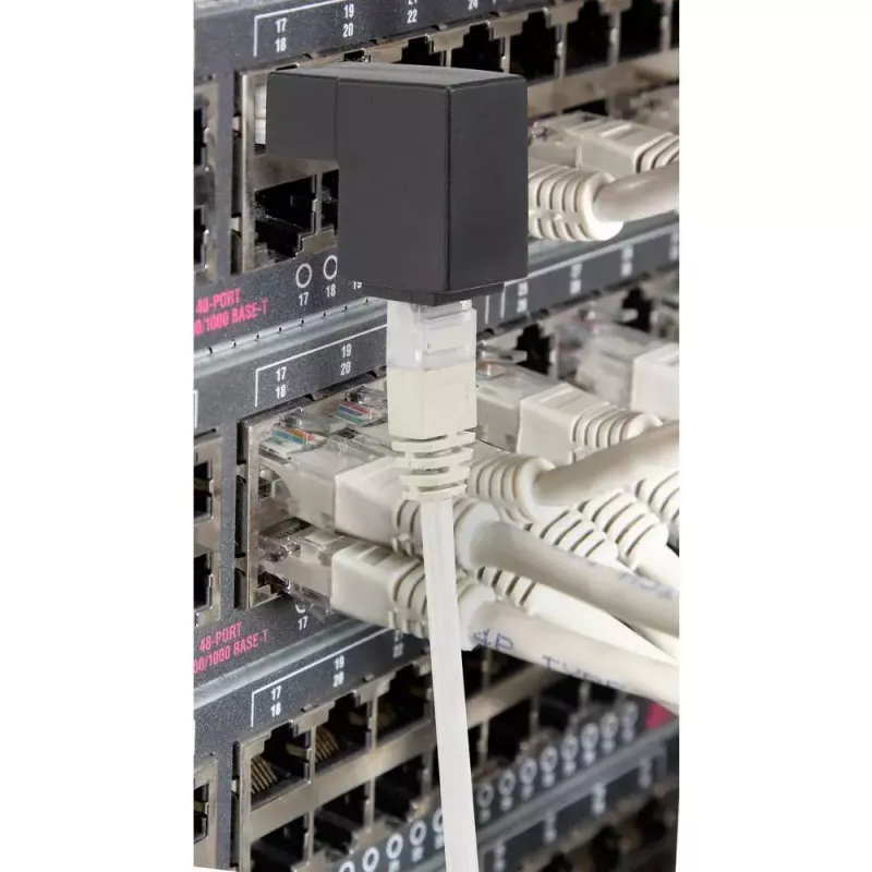 Lyties keitiklis RJ45 Renkforce RF-4087416