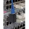 Lyties keitiklis RJ45 Renkforce RF-4087413 90° kampinis, auksuoti kontaktai