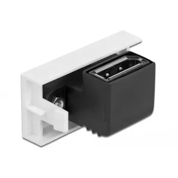DeLOCK Easy 45 DisplayPort modulis 81306