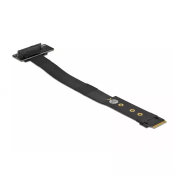 Adapteris M.2 Key M į U.2 SFF-8639 NVMe DeLOCK 64135