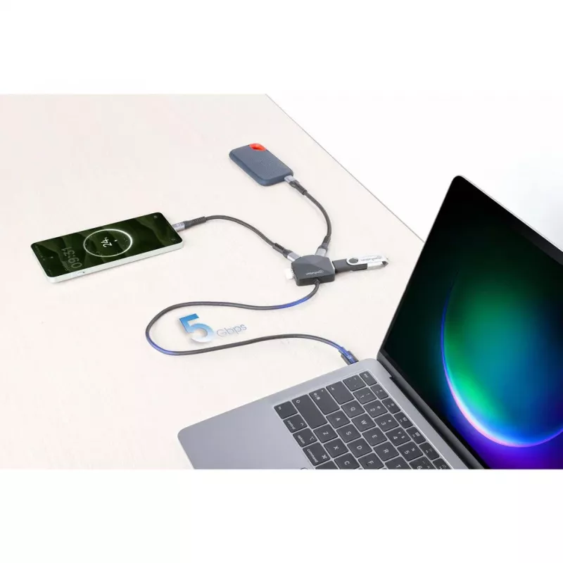 Manhattan USB-C ir USB-A 4 prievadų jungiklis / stotelė, 2x USB-A, 2x USB-C, 5 Gbps, kampuoti prievadai, maitinamas per USB