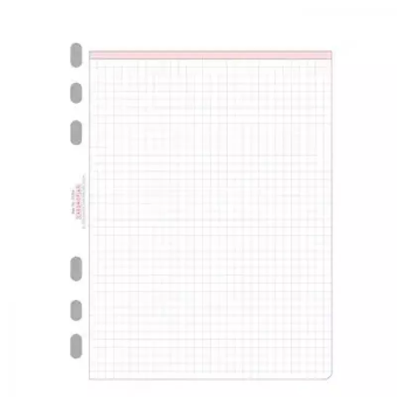 Avery Zweckform Chronoplan 50304 languoti papildomi lapai A5 planuokliui, 50 lapų, 80 g/m²