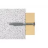 Inkarinis varžtas Fischer 61224