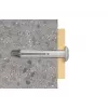 Fischer 50338 varžtų ir kaiščių rinkinys, 100 vnt., 30 mm