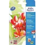 Fotopopierius blizgus Avery C2550-50 (250 g/m², 50 lapų)