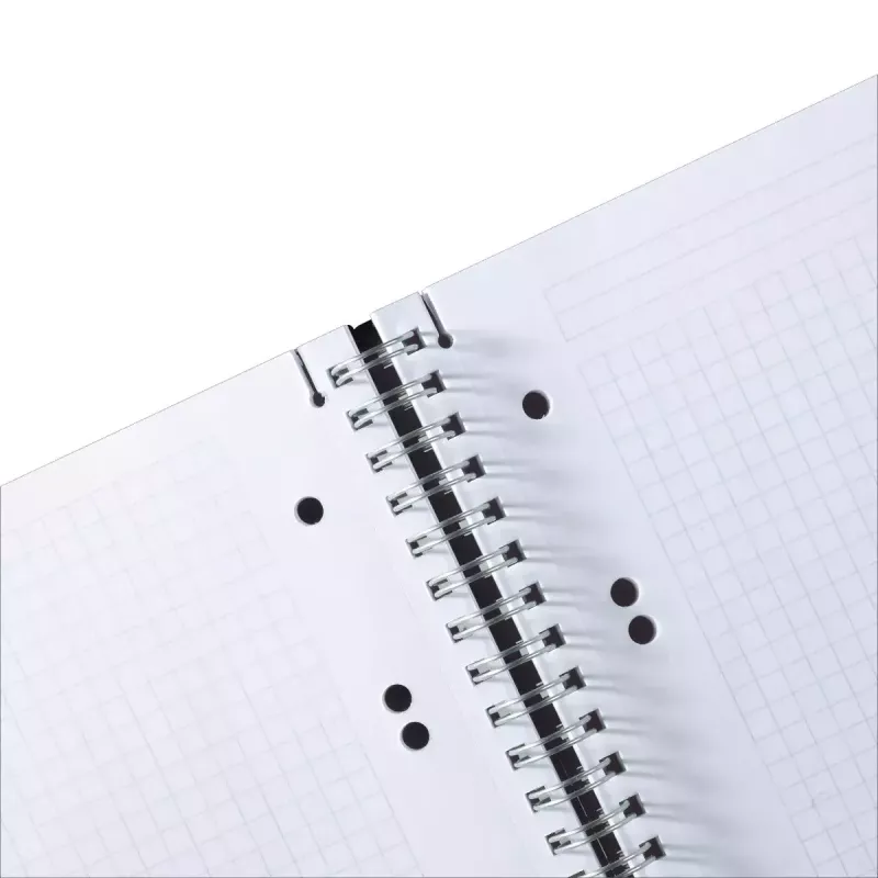 Užrašinė Herlitz 11293768 A5 80 lapų įvairiaspalvis
