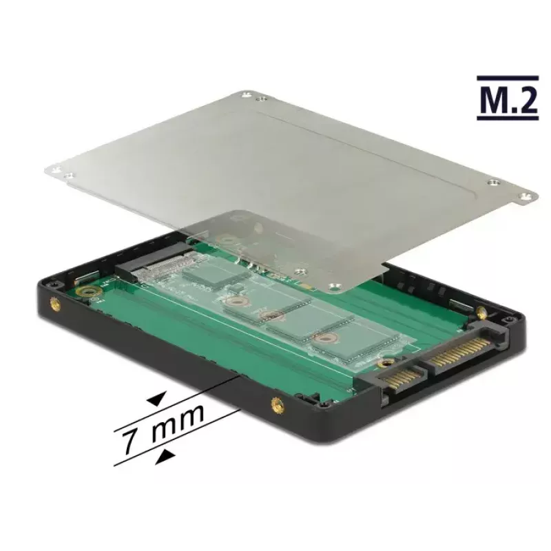 Vidinis M.2 adapteris DeLOCK 62792