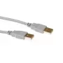 USB 2.0 A kištukas - USB A kištukas dramblio kaulo spalvos 2,00 m ACT SB2502