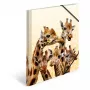 HERMA Giraffe friends segtuvas dokumentams iš polipropileno (PP) A4 įvairiaspalvis